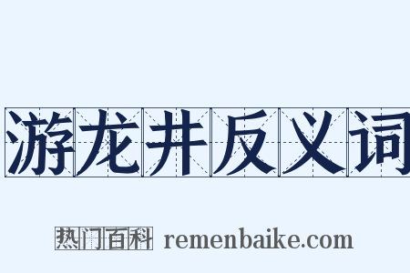 游龙井反义词是什么意思的图片